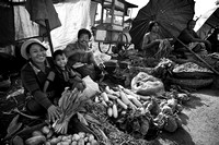 Market Vendors