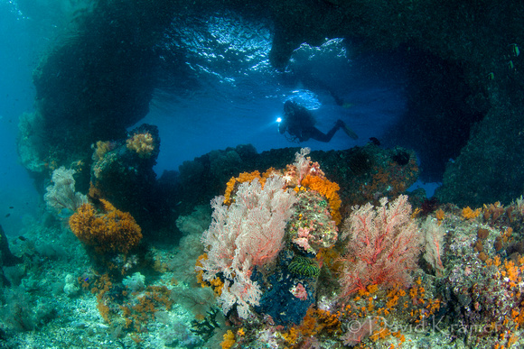 Diver in archway