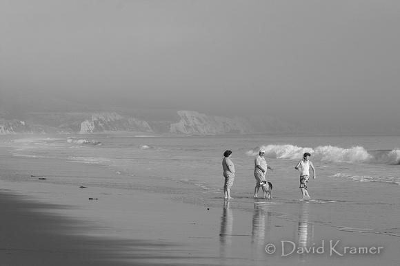 Foggy Beach